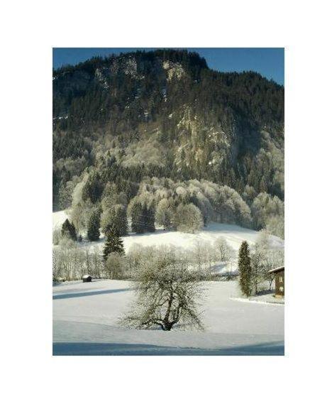Falkenstein-Wohnung-4-Haus-B Oberstdorf Dış mekan fotoğraf